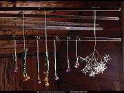 National Geographic Wallpapers 018_jpg